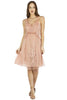 Soft Pink Vintage Inspired Nataya Dress-AL216 - Blanche's Place